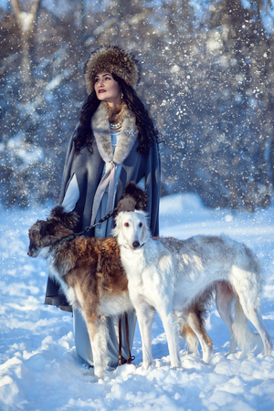 A girl with greyhounds on the snowの写真素材