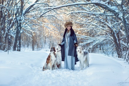 A girl with greyhounds on the snowの写真素材