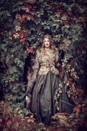 fairy in a fabulous autumn forestの写真素材