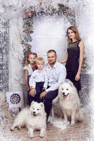Family with two white dogs, Samoyeds near the Christmas tree. The concept of holidays.の写真素材