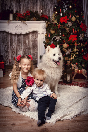 Brother and sister with a dog on the background of a Christmas tree. The Samoyed Laika. vertikal frameの写真素材