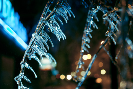 Blue icicles on the branches of a tree against a background of yellow lanternsの写真素材