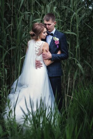 Photo young newlyweds near tall green reedsの写真素材