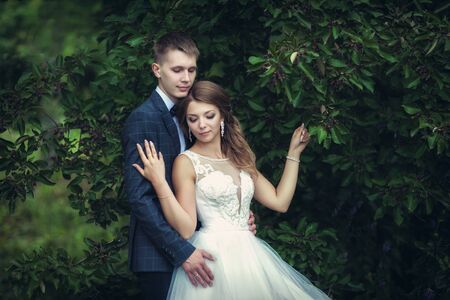 Wedding walk. Newlyweds near the green treeの写真素材