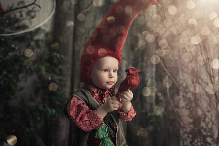 Little christmas gnome in a red cap and vest.