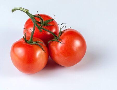 Tomatoes on a branch. Three ripe tomatoes on a branch.の写真素材