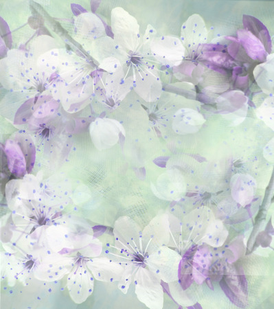 Light background with white flowers and green leave on a tree branch. May be used for a graphic art, as a greeting or gift layout, wallpaper, web template.の写真素材
