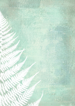 Illustration of white fern leaves on shabby background. Foliage design template with place for your text. Can be used for web page background, identity style, printing. Abstract Christmas tree.の写真素材