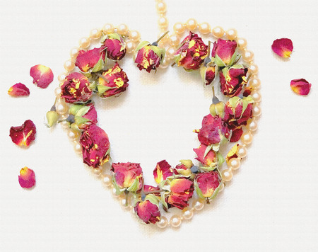 Gentle background with pink rosebud, rose petals and heart shaped pearl necklace isolated on white....