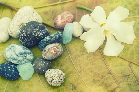 Colored stones and beautiful flower on a large yellow leaf.