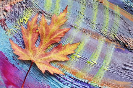The autumn maple leaves on painted colorful wooden background. Beautiful colorful vivid autumnal maple leaves on the grunge wooden desk. Seasonal background.の写真素材