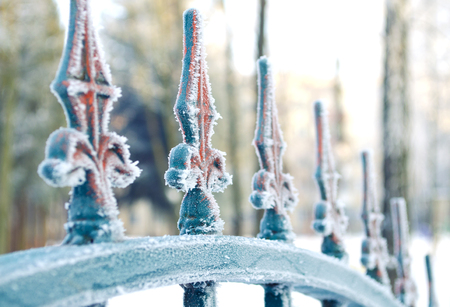 Winter landscape with iron fence. Decorative colored metal wrought fence. Winter day. Photo close-up.の写真素材