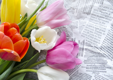 Beautiful blossoming colorful tulip flowers on collages of text snippets. Floral design. Nature background. Spring background with beautiful fresh flowers.の写真素材