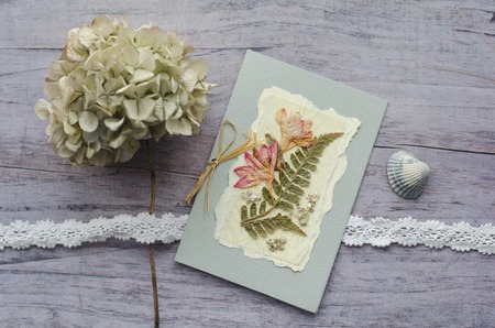 Composition from a card with a herbarium, shells, cotton lace and dry flowers.の写真素材