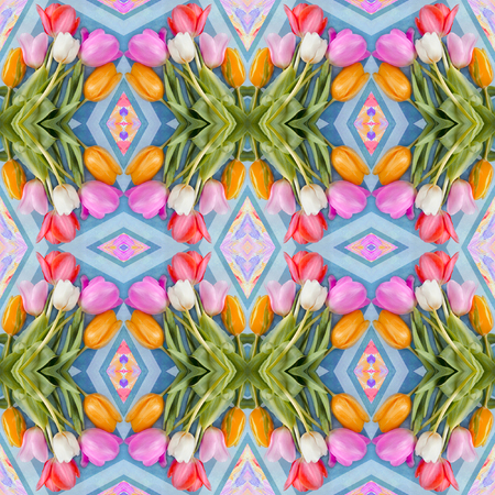 Tulip background. Seamless pattern of tulip flowers.の写真素材