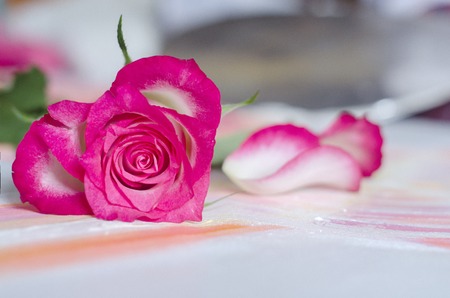 Pink rose in the shape of a heart on a blurred wooden background.Photo for in love, Valentin's day concept.の写真素材