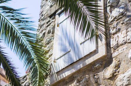 Palm branch on the background of the window with shutters. Old town.の写真素材