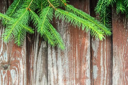 Tree branches on wooden background. Photo with space for photo for Christmas greetings.の写真素材