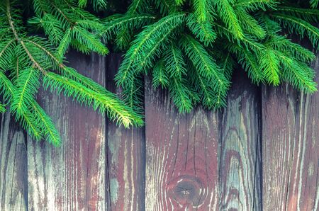 Tree branches on wooden background. Photo with space for photo for Christmas greetings.の写真素材