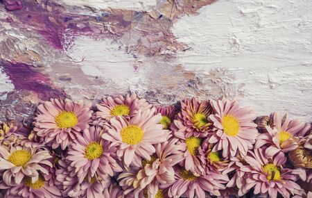 Pink apricot chrysanthemums on a picturesque background. Photo of autumn flowers .の写真素材