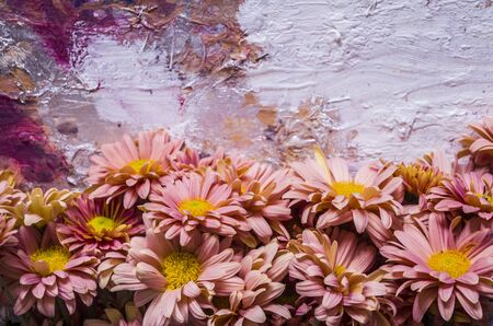 Pink apricot chrysanthemums on a picturesque background. Photo of autumn flowers .の写真素材