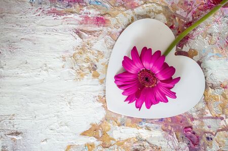 Pink gerbera on a background of white hearts. Texture background. Valentine day concept.の写真素材