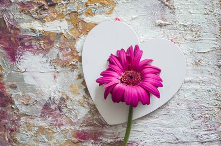 Pink gerbera on a background of white hearts. Texture background. Valentine day concept.の写真素材