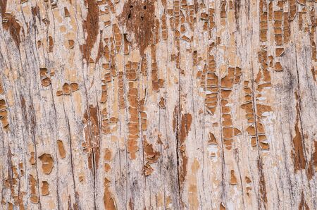 Part of dirty old rusted surface. Multicolor metal textures. Poster. Interior decor. Grunge backgroundの写真素材