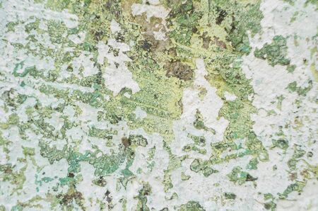 Abstract colorful cement wall texture. Grunge background. Old wall background for design.の写真素材