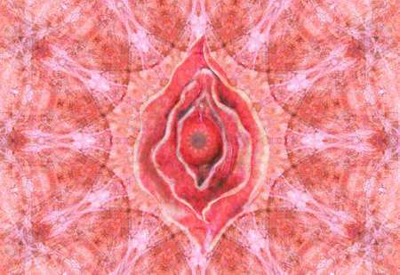 Vagina image in the shape of a flower. Yoni illustration of female energy concept. Colorful abstract...