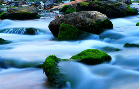 Streams