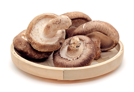 Shiitake mushroom on the White backgroundの写真素材