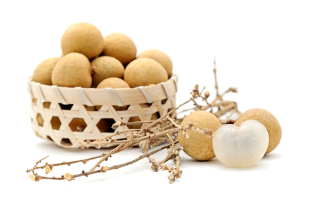 Fresh longan on white backgroundの写真素材