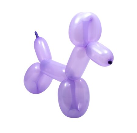 violet balloon model of dog isolated on the whiteの写真素材