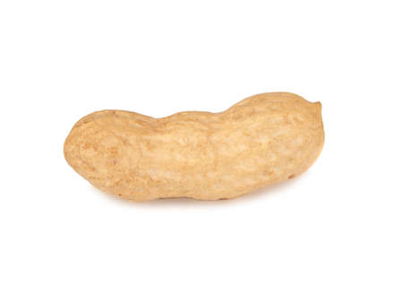 One peanut dry isolated on the white background