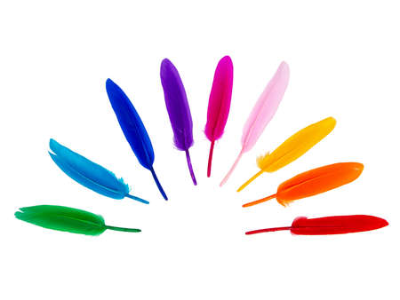 Multicolor rainbow feathers isolated on the white background