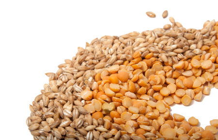 Natural wheat grain on the whiteの写真素材