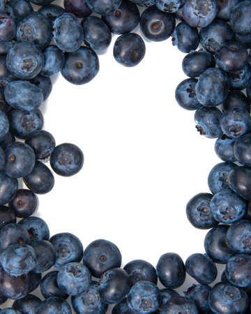 Perfect blueberry isolated on the white backgroundの写真素材