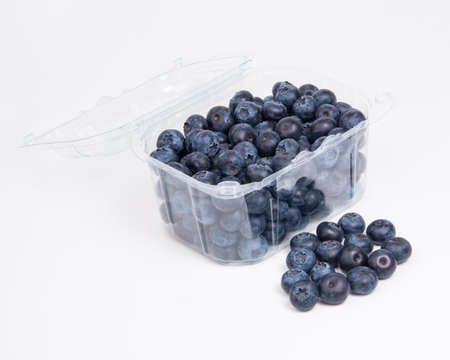 Perfect blueberry on the white backgroundの写真素材