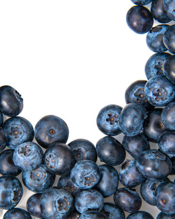 Blueberries fresh summer isolated on the white backgroundの写真素材