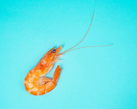 Sea shrimp fresh on blue backgroundの写真素材