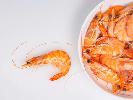 Sea shrimp fresh on the white backgroundの写真素材