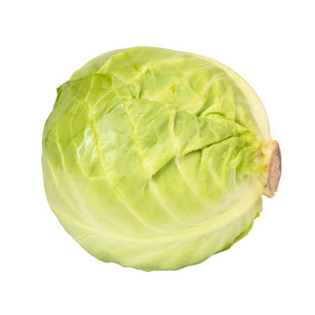 Green natural cabbage head isolated on the white backgroundの写真素材