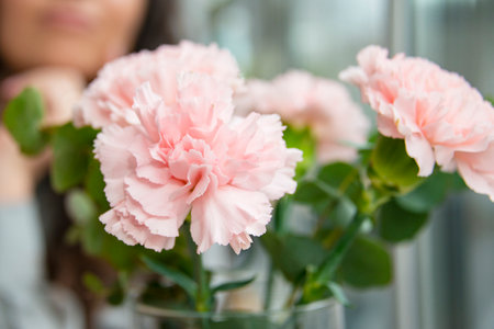 Small bouquet of pink carnations selective focus beautiful flowersの写真素材