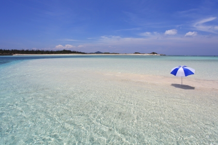 The beautiful sea and summer skyの写真素材