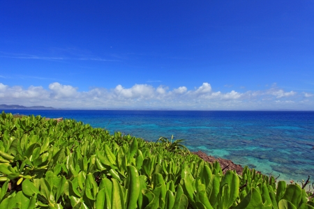 The beautiful sea and summer skyの写真素材