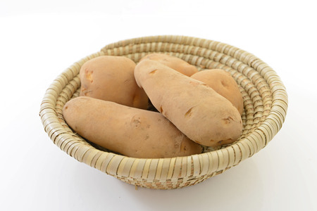 Fresh vegetableの写真素材