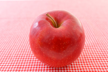 &#12288;Fresh fruitsの写真素材