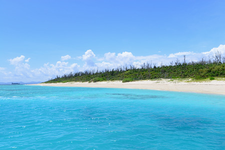Beautiful beach in Okinawaの写真素材