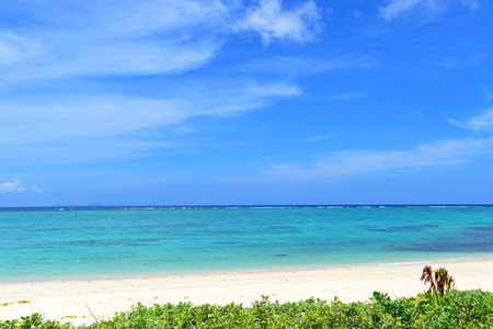 Summertime at the beachの写真素材